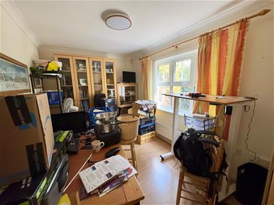 Picture 6